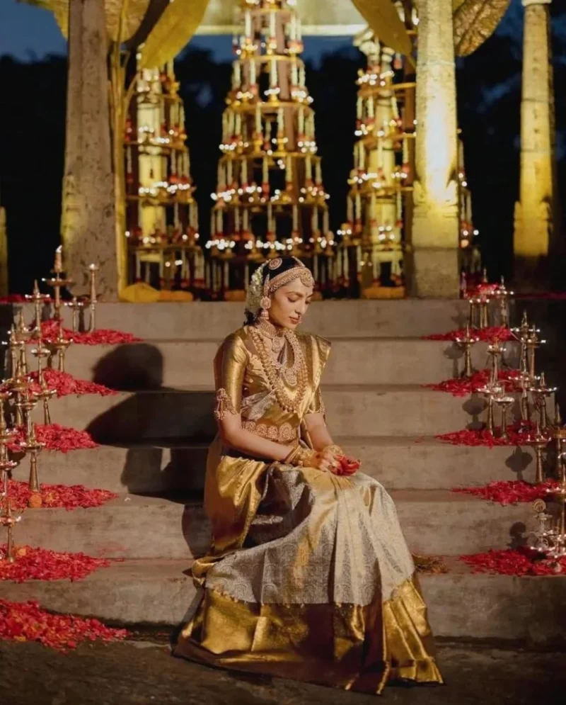 Celebrity Inspired Sarees - Image 10